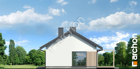 Бочний фасад Будинок в ірисах 