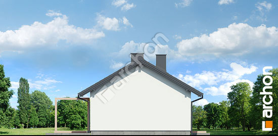 Боковой фасад Дом в ирисе 