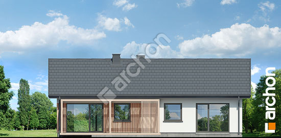 Дворовий фасад Будинок в ірисах 