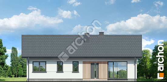 Передний фасад Дом в ирисе 