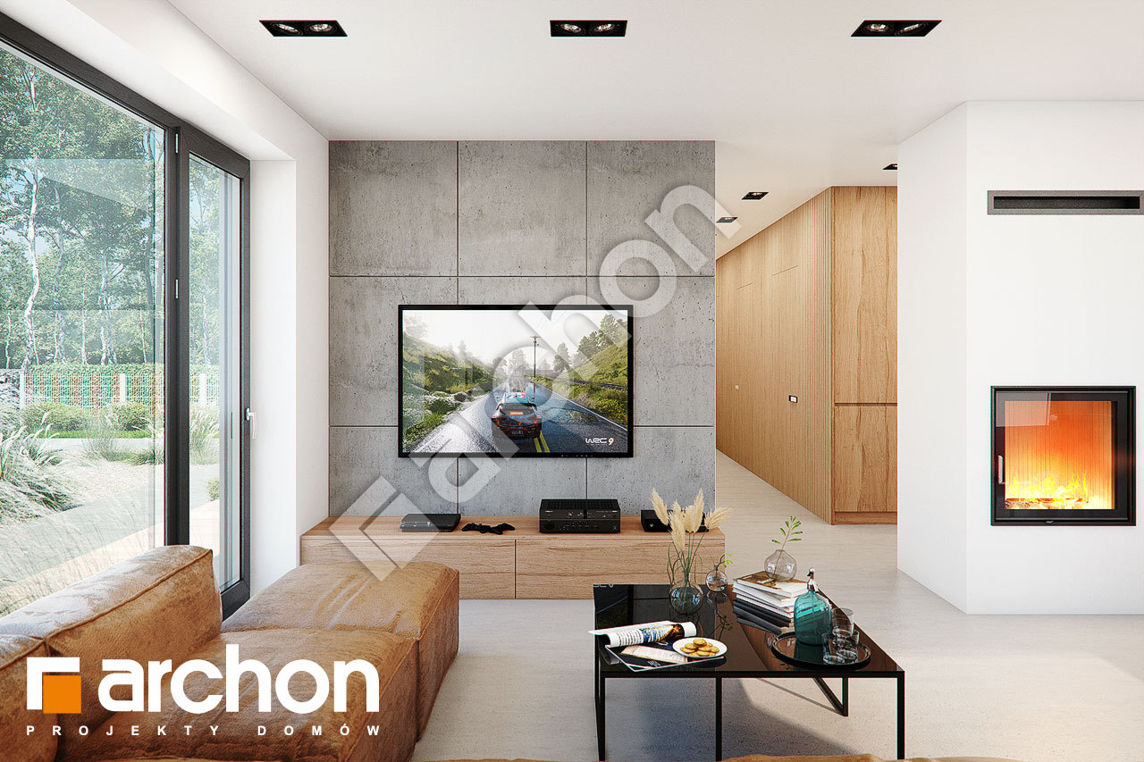 Проект будинку ARCHON+ Будинок в ірисах  денна зона (візуалізація 1 від 1)