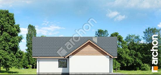 Бочний фасад Будинок в мажанках (Г)