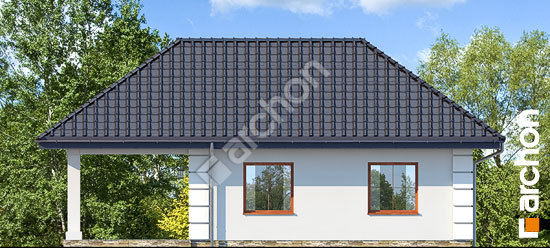 Дворовий фасад Г28 - Двомісний гараж