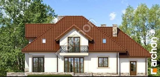 Дворовой фасад Дом в каллах 3 (П)