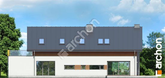 Дворовой фасад Дом в лаврах вер.2