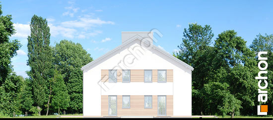 Боковой фасад Дом в вороньем глазу (Р2Б)