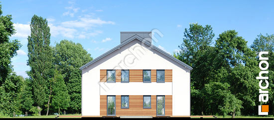 Боковой фасад Дом в вороньем глазу (Р2Б)