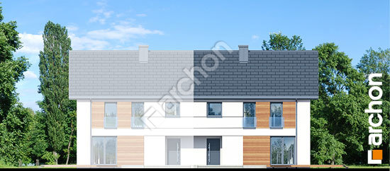 Дворовой фасад Дом в вороньем глазу (Р2Б)