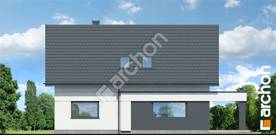 Дворовой фасад Дом в шишковиках 6 (Е)