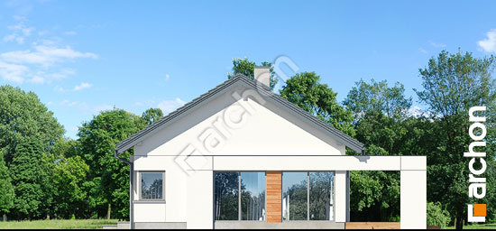 Бочний фасад Будинок в базиліці 2 (Е) ВДЕ