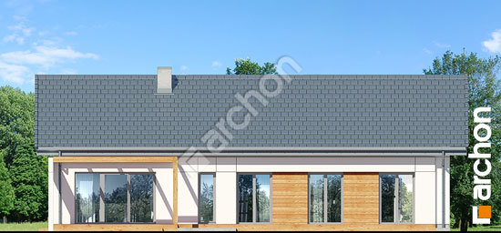 Дворовой фасад Дом в базилике 2 (Е) ВИЭ