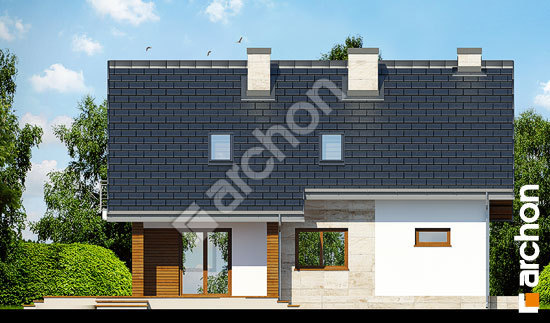 Дворовий фасад Будинок в айдаредах 3 (Т)