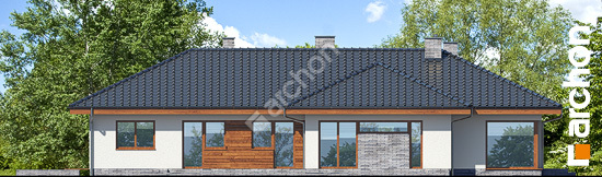 Бочний фасад Будинок в амарантах 5 (Т)