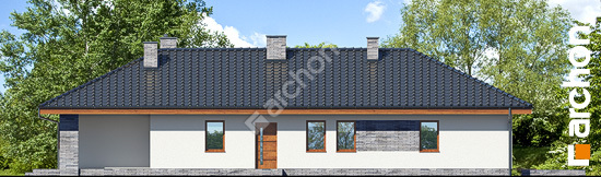 Боковой фасад Дом в амаранте 5 (Т)