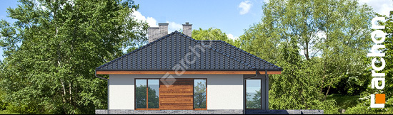 Дворовой фасад Дом в амаранте 5 (Т)