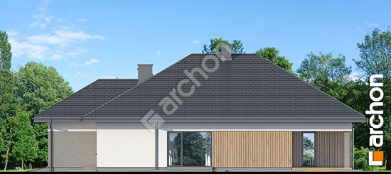 Бочний фасад Будинок у кульківнику (Г2)