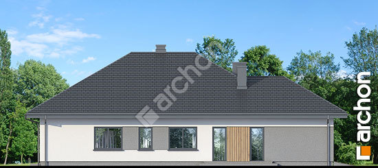 Бочний фасад Будинок у кульківнику (Г2)