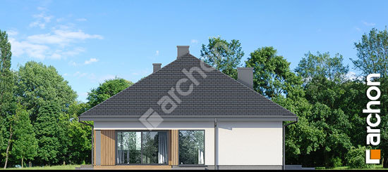 Дворовой фасад Дом в пилюльнице (Г2)