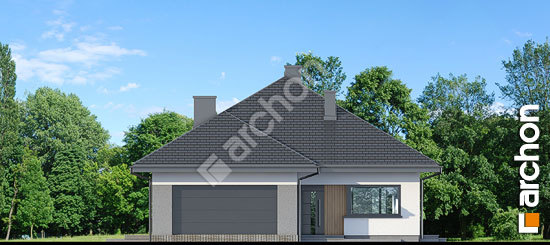 Передній фасад Будинок у кульківнику (Г2)