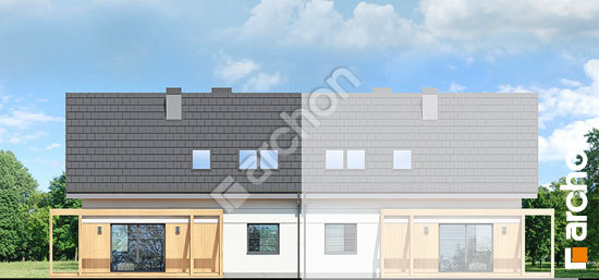 Дворовий фасад Будинок в хлорофітумі (АБ)