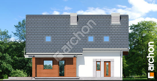 Дворовий фасад Будинок в яблонках 7 (Т)