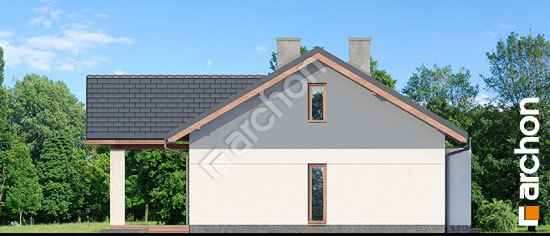 Бочний фасад Будинок у вівсянниці 3 (A)