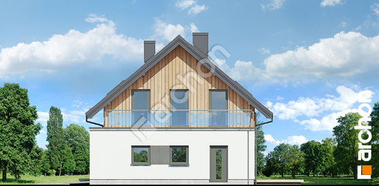 Боковой фасад Дом в сафлоре