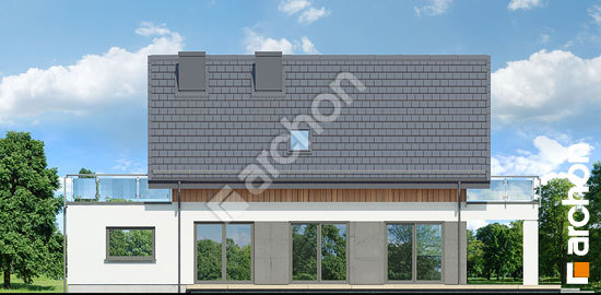 Дворовой фасад Дом в сафлоре