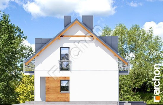 Бочний фасад Будинок в хімонантах