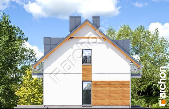 Бочний фасад Будинок в хімонантах