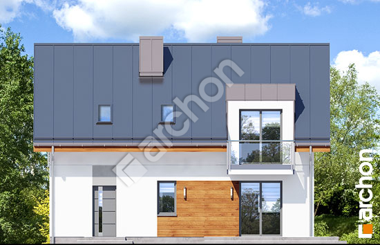 Дворовой фасад Дом в химонантах