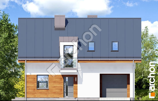 Передний фасад Дом в химонантах