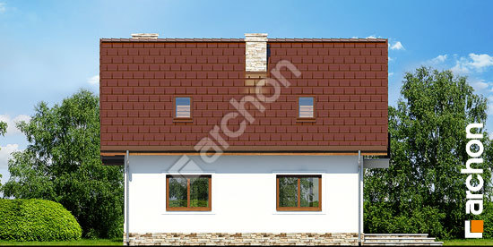 Дворовой фасад Дом в солодках 5 (Т)