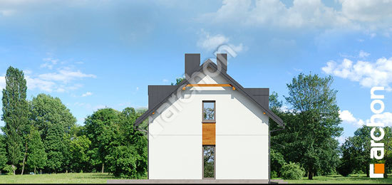 Бочний фасад Будинок в хімонантах (Р2)