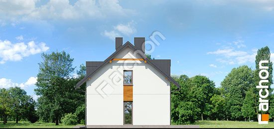 Боковой фасад Дом в химонантах (Р2)