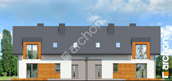 Дворовий фасад Будинок в хімонантах (Р2)