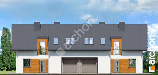 Передній фасад Будинок в хімонантах (Р2)