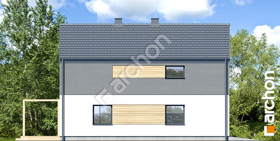 Боковой фасад Дом в черной смородине 2 (Г)