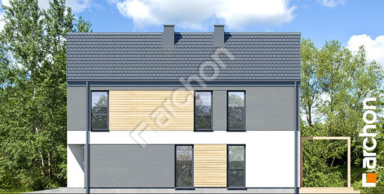 Боковой фасад Дом в черной смородине 2 (Г)