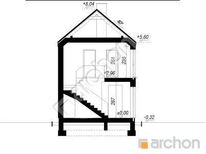 Проект дома ARCHON+ Дом в черной смородине 2 (Г) Розріз будинку