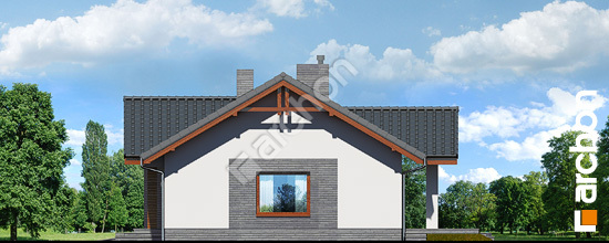 Бочний фасад Будинок в лещиновнику (Г)