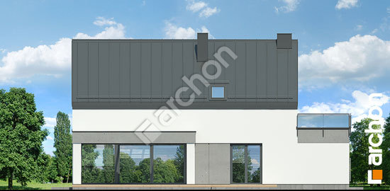 Дворовий фасад Будинок в аурорах 17 (Г2Е)