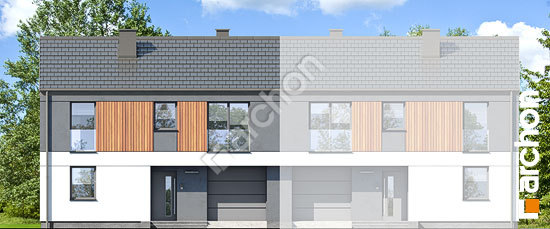 Передний фасад Дом в мураях (ГБ)