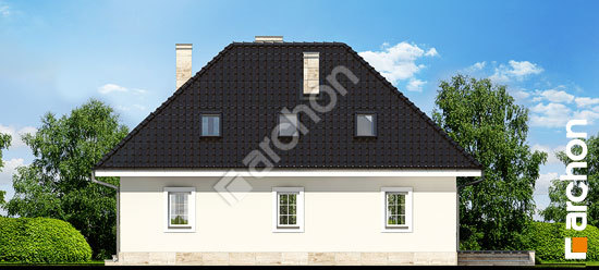 Дворовий фасад Будинок в авокадо вер.2