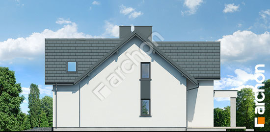 Боковой фасад Дом в мирабилисах (Г2)