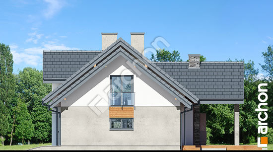 Боковой фасад Дом в ветиверии