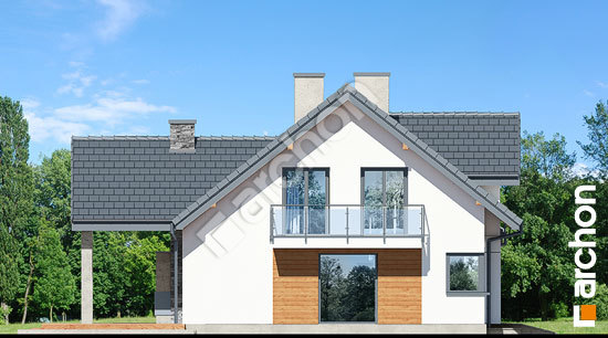 Боковой фасад Дом в ветиверии