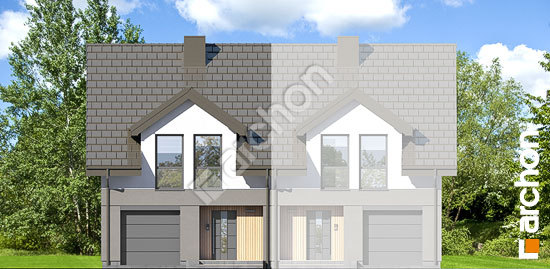 Передній фасад Будинок під гінко 19 (ГБА)