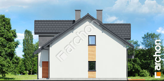 Бочний фасад Будинок в клематисах 19 (Б)