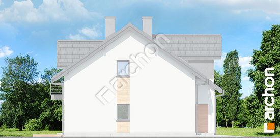 Боковой фасад Дом в клематисах 19 (Б)